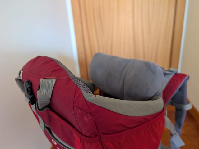 Deuter Kid Comfort Child Carrier Backpack
